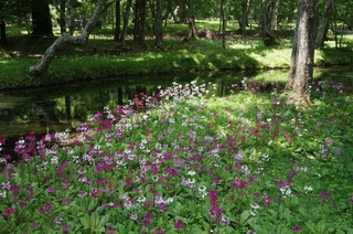 20150613 (1024x681).jpg