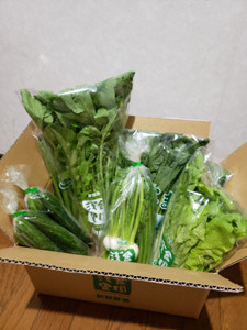 20191116_173756.jpg