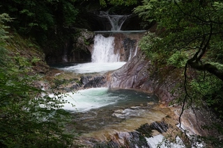 DSC00420 (1024x683).jpg