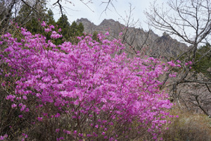 DSC01252 (1024x683).jpg