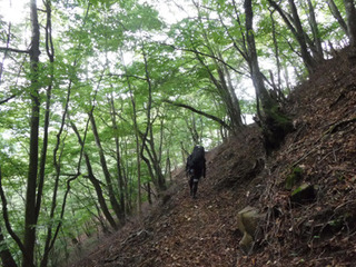 DSCF4552.JPG