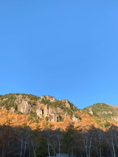紅葉.jpg