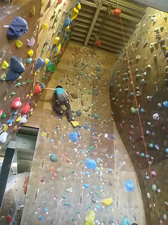 IMG_20180519_133200.jpg