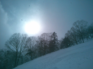 IMG_20190210_133940.jpg