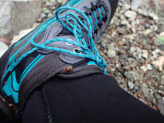 P6020128.jpg