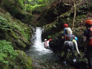 P6300026.jpg