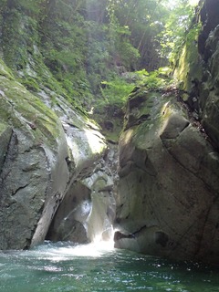 P8040141.jpg
