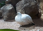 image001.png