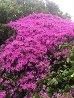 image002.jpg
